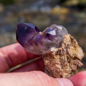 May include: A cluster of amethyst crystals embedded in a natural rock formation. The crystals are a deep purple colour and have a pointed shape. The rock is a light brown colour and has a rough texture.
