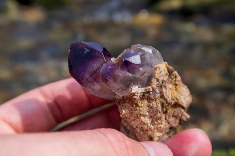 May include: A cluster of amethyst crystals embedded in a natural rock formation. The crystals are a deep purple colour and have a pointed shape. The rock is a light brown colour and has a rough texture.