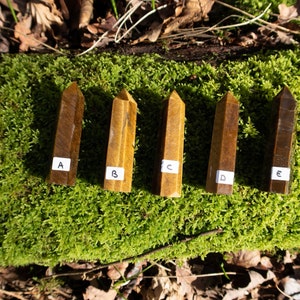 May include: Five golden tiger's eye crystal points, labeled A through E, are arranged on a bed of green moss.