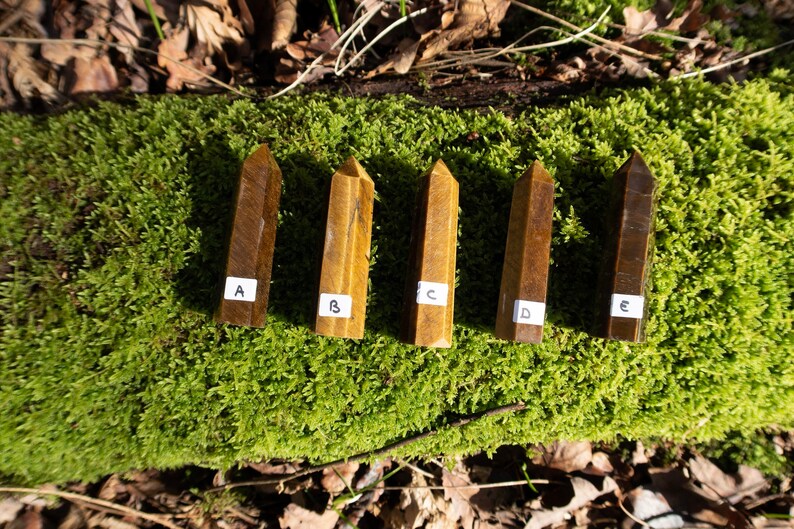 May include: Five golden tiger's eye crystal points, labeled A through E, are arranged on a bed of green moss.