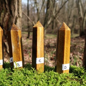 May include: Five tiger's eye crystal points, labeled A through E, are arranged on a bed of green moss. The points are all different shades of brown and gold.