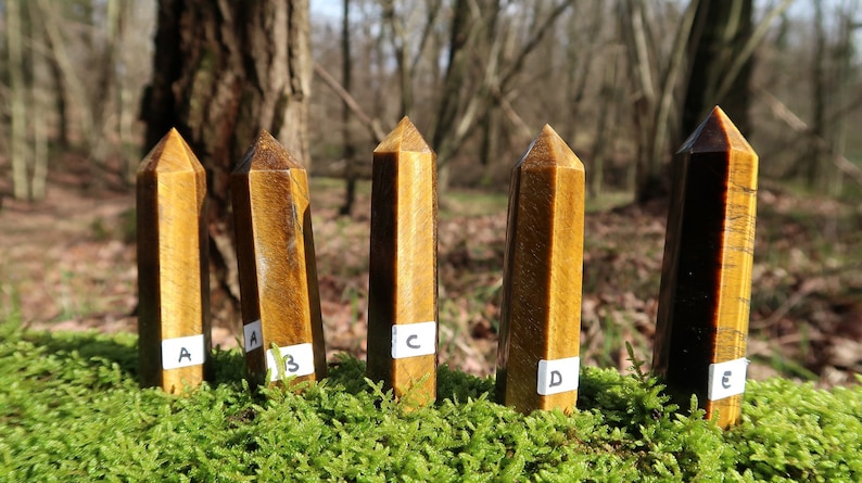 May include: Five tiger's eye crystal points, labeled A through E, are arranged on a bed of green moss. The points are all different shades of brown and gold.