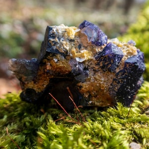 May include: A cluster of purple and yellow crystals on a bed of green moss. The crystals have a rough, natural texture.