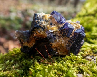 Fluorit på turmalinmatris, Namibia, 53 gr, sällsynt, samlarmineral, natursten, unik, lila fluorit, svart turmalin