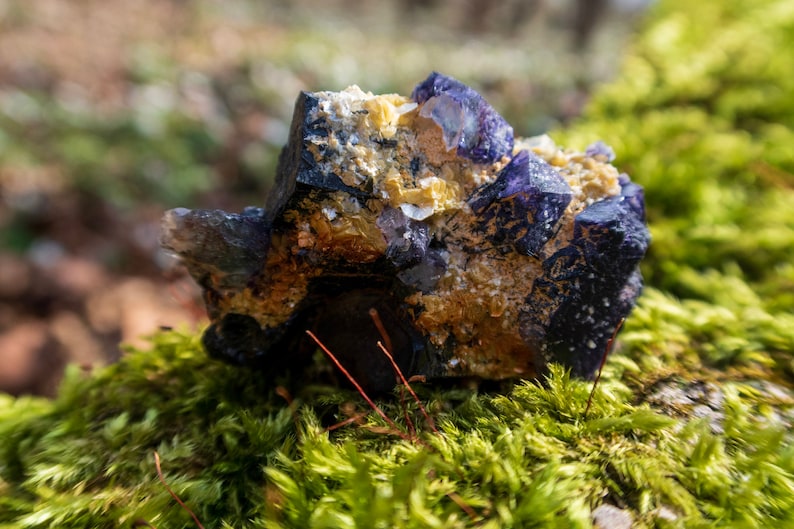 May include: A cluster of purple and yellow crystals on a bed of green moss. The crystals have a rough, natural texture.