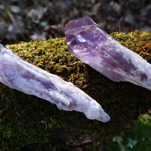 Puede incluir: Dos cristales de amatista con un degradado de color p&uacute;rpura y blanco, descansando sobre un lecho de musgo verde.