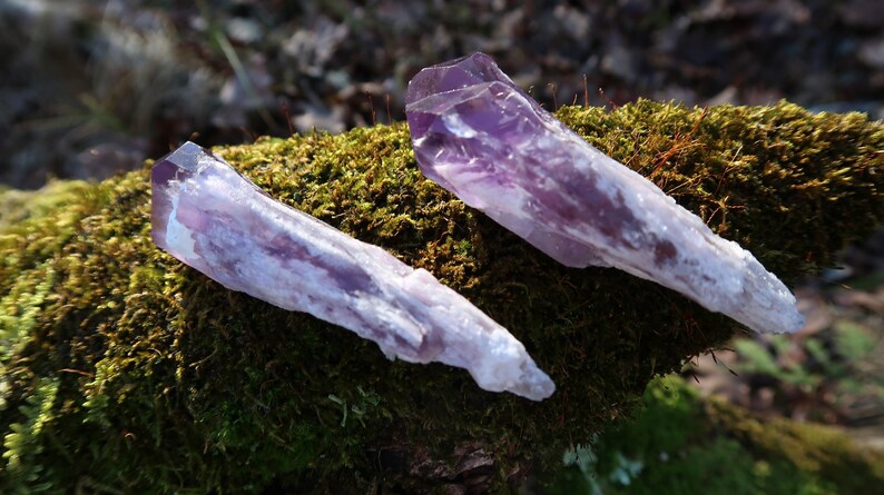 Puede incluir: Dos cristales de amatista con un degradado de color p&uacute;rpura y blanco, descansando sobre un lecho de musgo verde.
