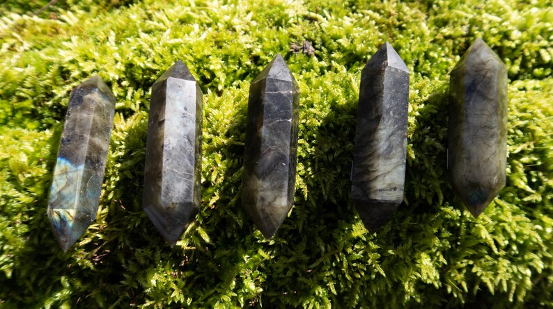 Op de afbeelding: Vijf donkergrijze labradorit kristallen punten met iriserende blauwe en groene flitsen. De punten zijn in een rij op een bed van groen mos gerangschikt.