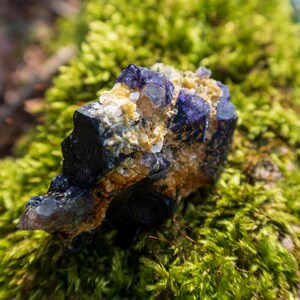 May include: A cluster of purple and black fluorite crystals with a yellow mineral matrix. The crystals are sitting on a bed of green moss.