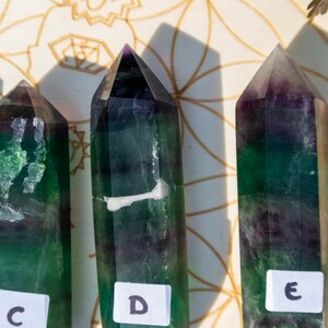 May include: Three green and purple fluorite crystal points with white markings. The points are labeled C, D, and E.