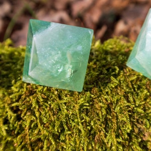 May include: Three green fluorite pyramid crystals on a bed of moss. The crystals are translucent and have a slight shimmer.
