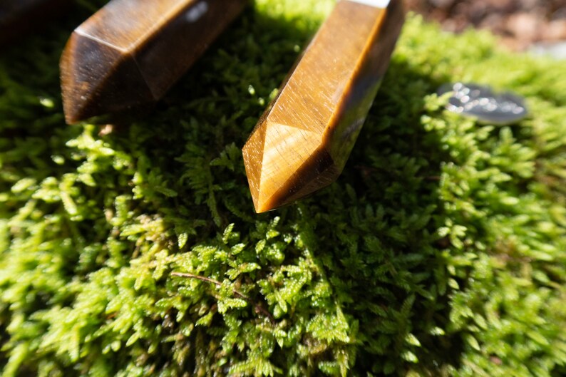 May include: Two golden brown tiger's eye crystal points on a bed of green moss.
