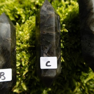 Op de afbeelding: Drie zwarte labradorit kristallen punten, gelabeld A, B en C, zijn gerangschikt op een bed van groen mos.