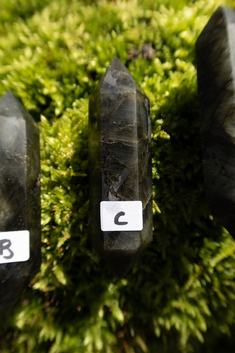 Op de afbeelding: Drie zwarte labradorit kristallen punten, gelabeld A, B en C, zijn gerangschikt op een bed van groen mos.