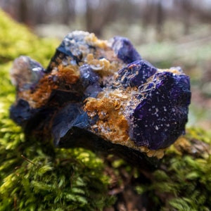 May include: A close-up of a purple and blue crystal with a rough, textured surface. The crystal is covered in small, white specks and has a golden-brown hue in some areas. The crystal is resting on a bed of green moss.