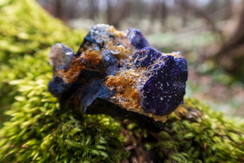 May include: A close-up of a purple and blue crystal with a rough, textured surface. The crystal is covered in small, white specks and has a golden-brown hue in some areas. The crystal is resting on a bed of green moss.