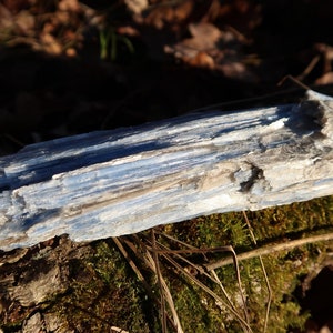 May include: A blue and white crystal with a layered, striated texture. The crystal is resting on a bed of moss and twigs.