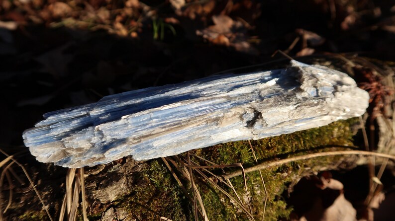 May include: A blue and white crystal with a layered, striated texture. The crystal is resting on a bed of moss and twigs.