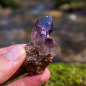 May include: A small cluster of amethyst crystals, with a deep purple hue, set in a rough, brown matrix. The crystals are pointed and have a natural, raw appearance.