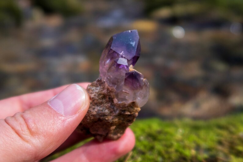 May include: A small cluster of amethyst crystals, with a deep purple hue, set in a rough, brown matrix. The crystals are pointed and have a natural, raw appearance.