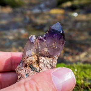May include: A cluster of amethyst crystals with a purple hue, set in a rough, brown rock matrix. The crystals are pointed and have a translucent appearance.