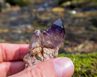 Amethyst Crystal on Matrix, Zambia, 67g, 100% Natural Unpolished, High Vibration, Purple, Collectible Minerals