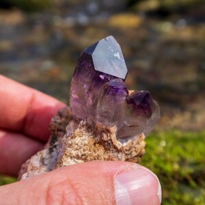 May include: A cluster of amethyst crystals with a purple hue, set in a rough, brown matrix. The crystals are pointed and have a translucent appearance.