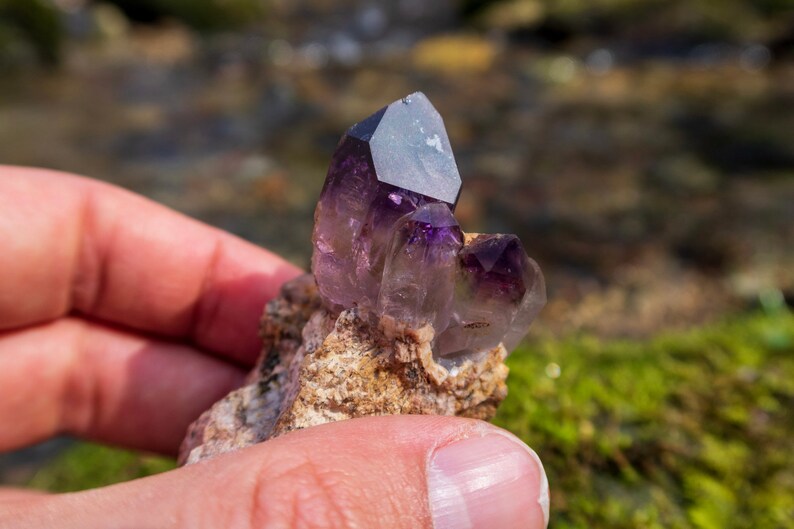 May include: A cluster of amethyst crystals with a purple hue, set in a rough, brown matrix. The crystals are pointed and have a translucent appearance.