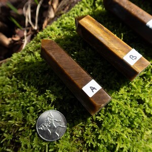 May include: Four brown tiger's eye crystal points with labels A and B on a bed of green moss.