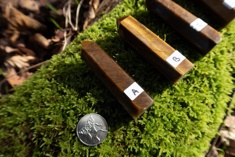 May include: Four brown tiger's eye crystal points with labels A and B on a bed of green moss.