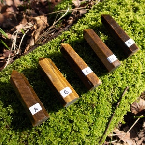 May include: Five golden tiger's eye crystal points, labeled A through E, are arranged on a bed of green moss.