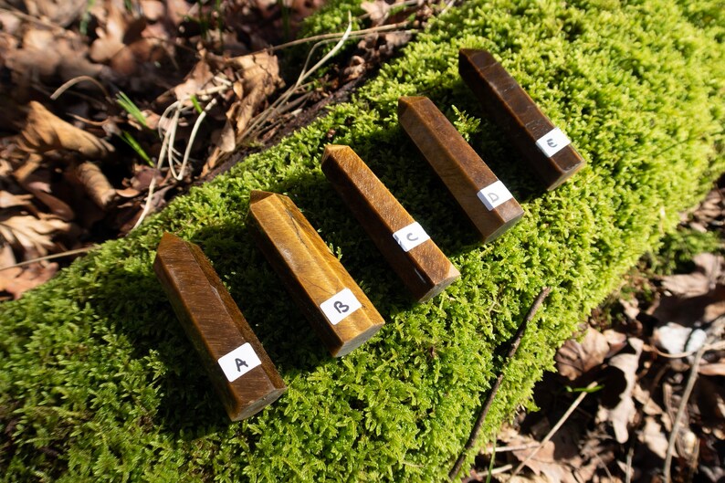 May include: Five golden tiger's eye crystal points, labeled A through E, are arranged on a bed of green moss.