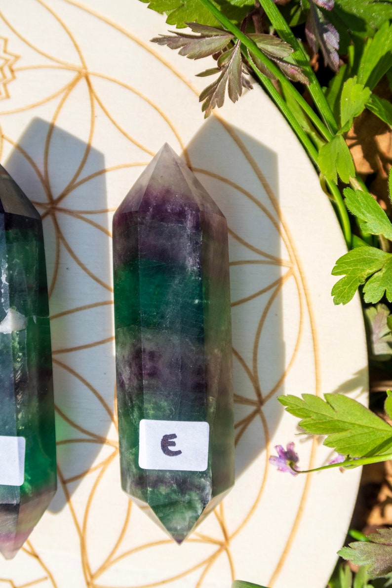 May include: Two green, purple, and clear fluorite crystal points on a white background with a flower and leaves. The crystal points are labeled with the letter "E".