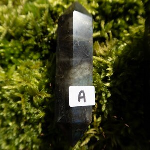Op de afbeelding: Een donkergrijze labradorit-kristalpunt met een label met de tekst "A". Het kristal ligt op een bed van groen mos.