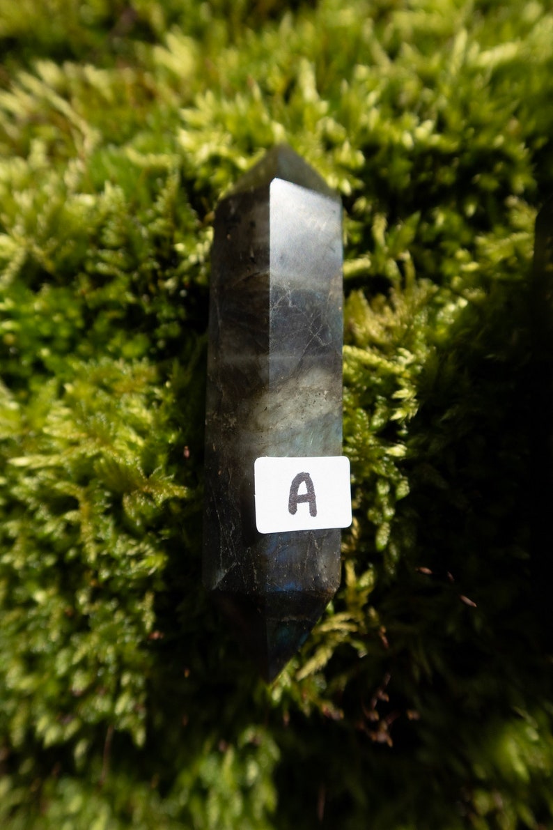 Op de afbeelding: Een donkergrijze labradorit-kristalpunt met een label met de tekst "A". Het kristal ligt op een bed van groen mos.