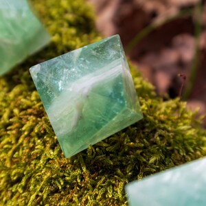 May include: Three green fluorite crystals, each cut into a cube shape, are displayed on a bed of green moss. The crystals are translucent and have a slight white veining.