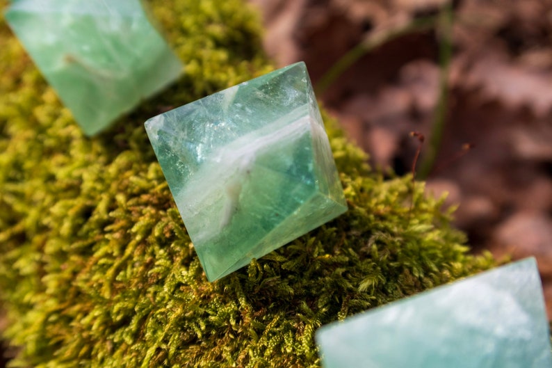 May include: Three green fluorite crystals, each cut into a cube shape, are displayed on a bed of green moss. The crystals are translucent and have a slight white veining.