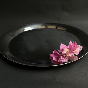 Stainless Steel Silver Dish