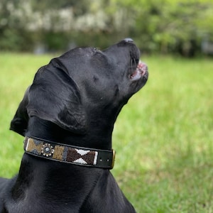 Op de afbeelding: Een zwarte hond met een kraag met bruine, witte en gouden kralen. De hond kijkt omhoog met zijn mond open, tegen een wazige groene achtergrond van gras en bladeren. De kraag heeft een geometrisch patroon.