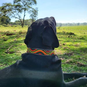 Custom Beaded Leather Dog Collar: Maasai Tribal Style, Personalized Pet Name