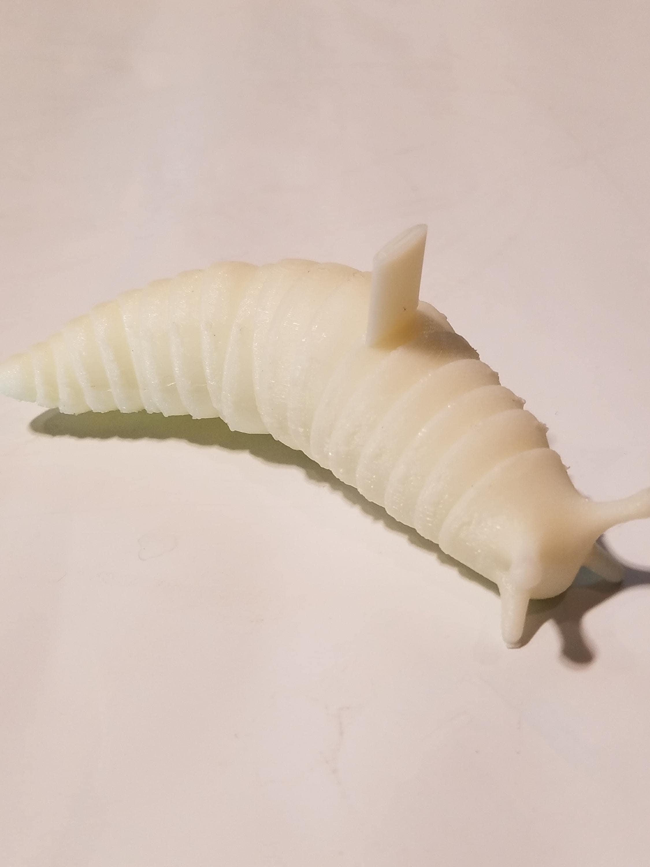 Snail Fidget Toy Sensory Fidget 3D Printed Articulated Snail Unique ...