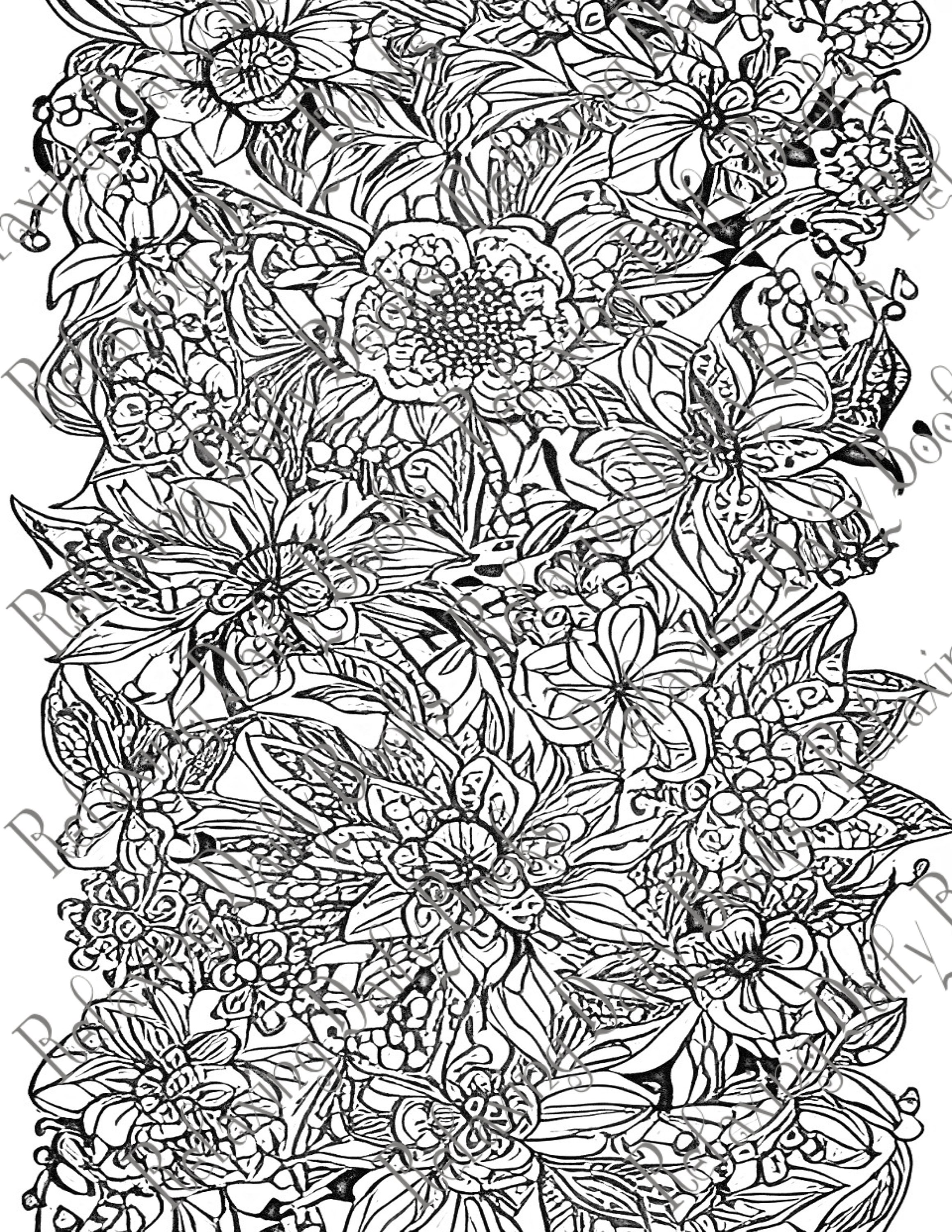 Complex and Challenging Adult Coloring Book - Etsy
