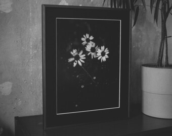 Hochwertig gerahmter Fine Art Kunstdruck in Schwarz-Weiß 40x50cm "Aufblühen Blümchen"