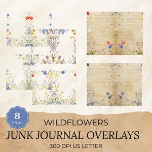 Sobreposições de diário de flores silvestres PNG, tamanho carta EUA, pacote de papel floral, páginas botânicas vintage, itens efêmeros imprimíveis em 300 DPI