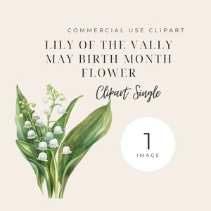 Muguet, mois de naissance mai Clipart, anniversaire floral, unique, image aquarelle, fleur PNG, PNG transparent, image unique