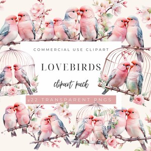 Imágenes prediseñadas de pájaros del amor png, imágenes prediseñadas de acuarela de San Valentín png, pareja de pájaros, imágenes prediseñadas de amor romántico,