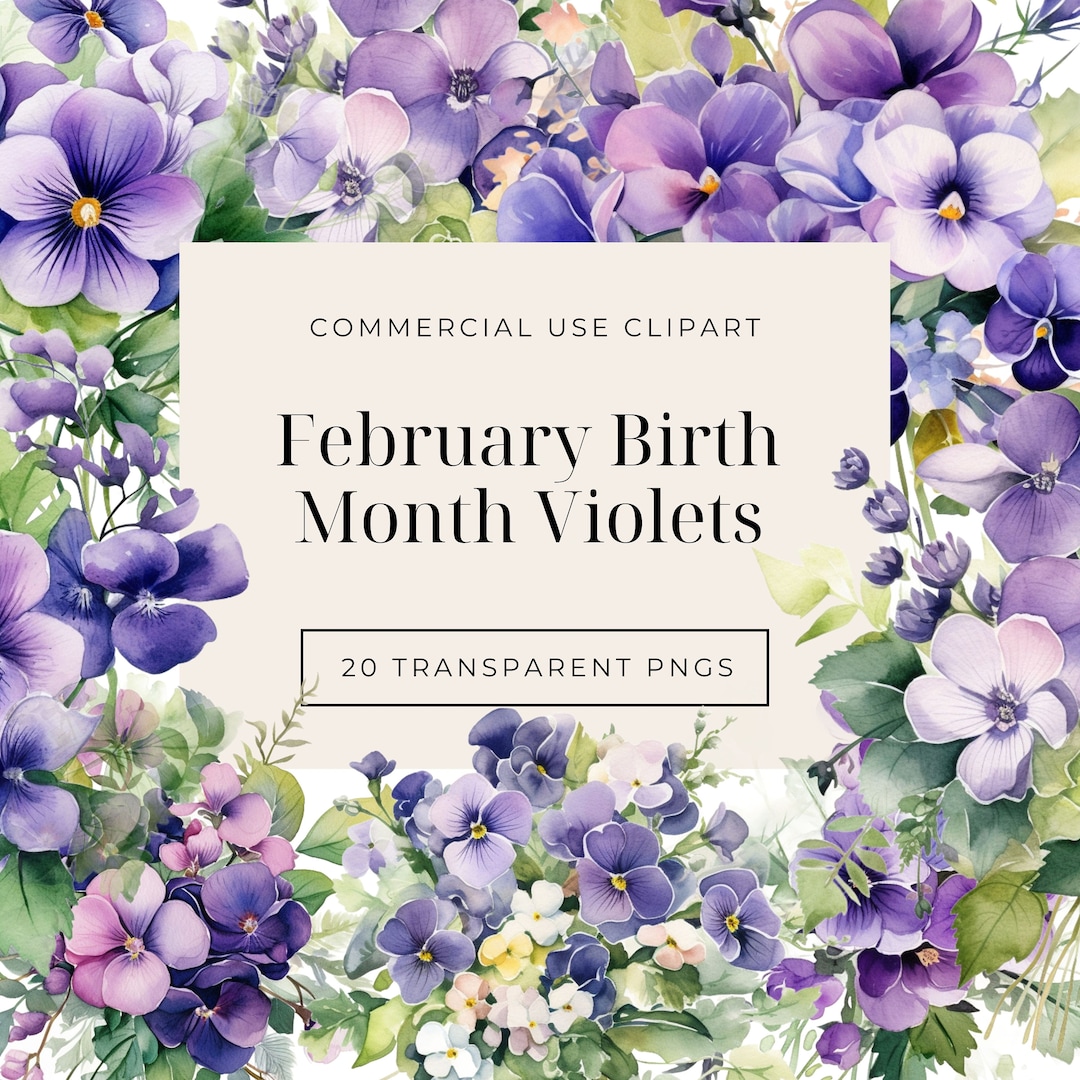 Violet Flower Clipart,february Birth Month Flowers,botanical Clipart ...