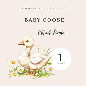 Baby Goose Spring Clipart Single, Quality transparent png, Watercolor Art ,Digital Download ,Card Making ,Mixed Media ,Digital Paper Craft