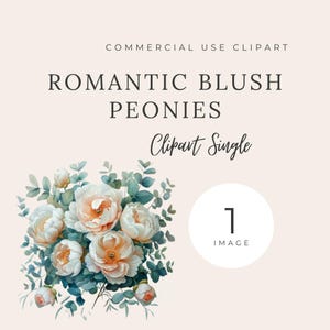 Romantische Blush Pfingstrosen Clipart Single, Blumenstrauß, 300dpi transparente Png, Aquarellkunst, digitaler Download, Kartenherstellung, Mixed Media