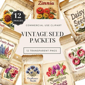 Paquete de semillas, paquete de imágenes prediseñadas de flores vintage PNG, kit de álbumes de recortes, invitaciones, tarjetas de diario, paquetes antiguos retro, tulipán, girasol